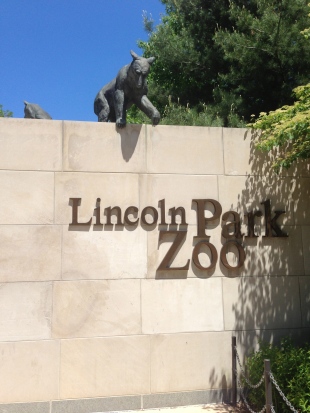 One of the many entrances into the zoo off of Stockton Drive which runs parallel to the Beautiful Lake Shore Drive!