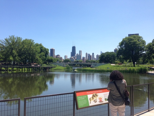 The view of Downtown from the zoo isn't too shabby though. That's Annette pictured.